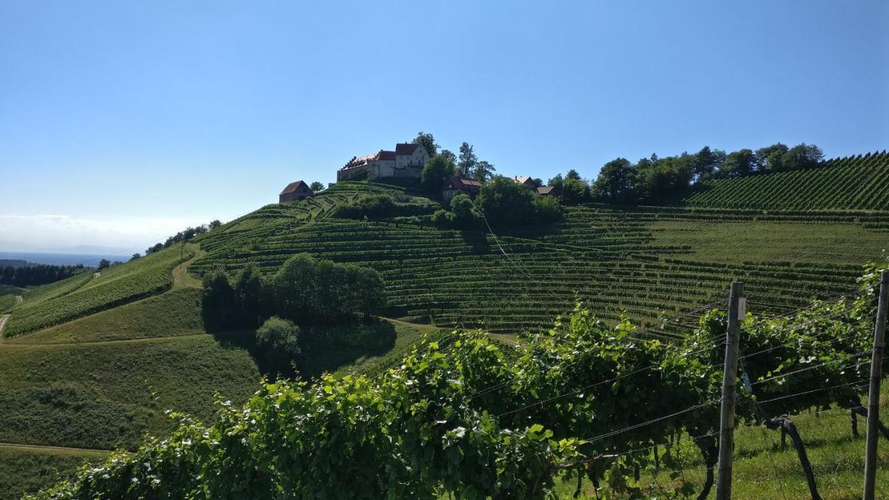 Schwarzwaelder Ferienwohnungen Seelbach  Exterior photo